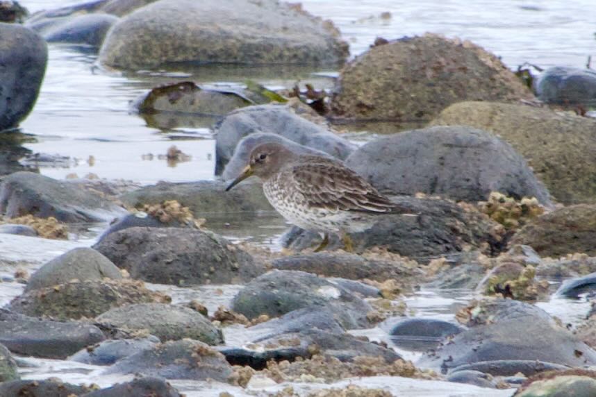 Week 5 British Columbia Part 2