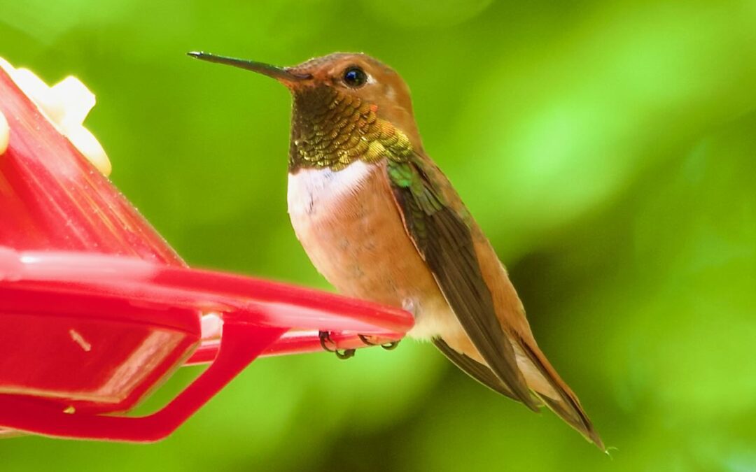 Week 24  350 and beyond