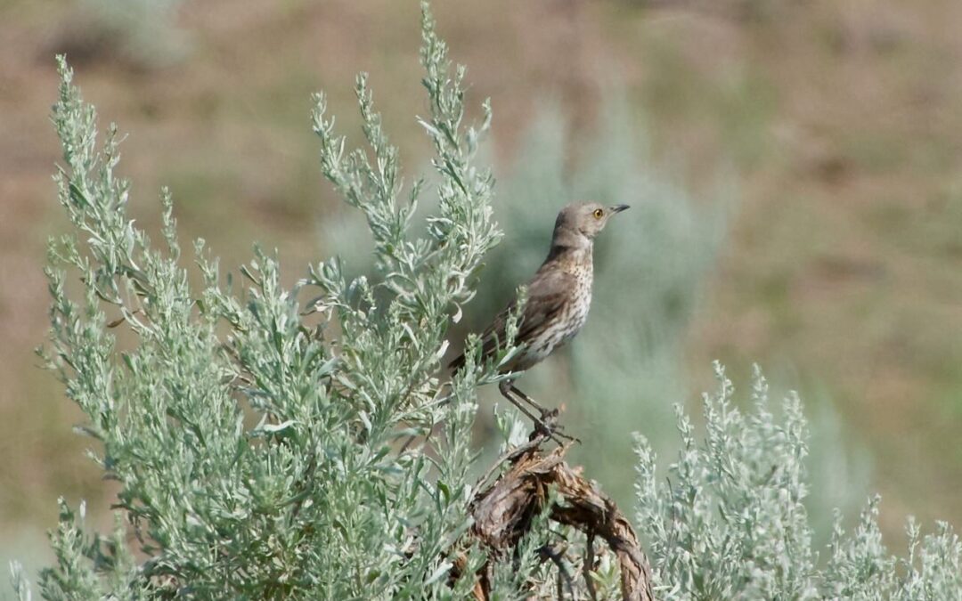 Week 25 Now it gets HARD!