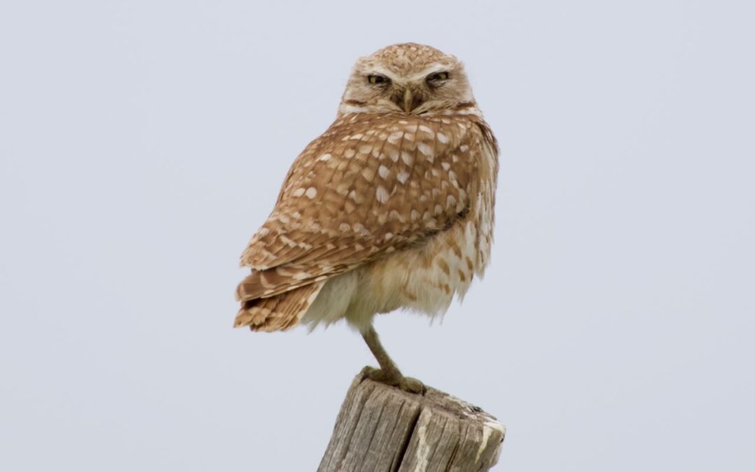 Week 23 Part 2 West is Best!!!