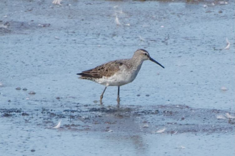 Week 34 Lake Watch Time