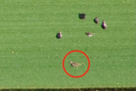 Week 35  400!!! sort of…