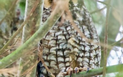 March 1 The End of Pajama Days